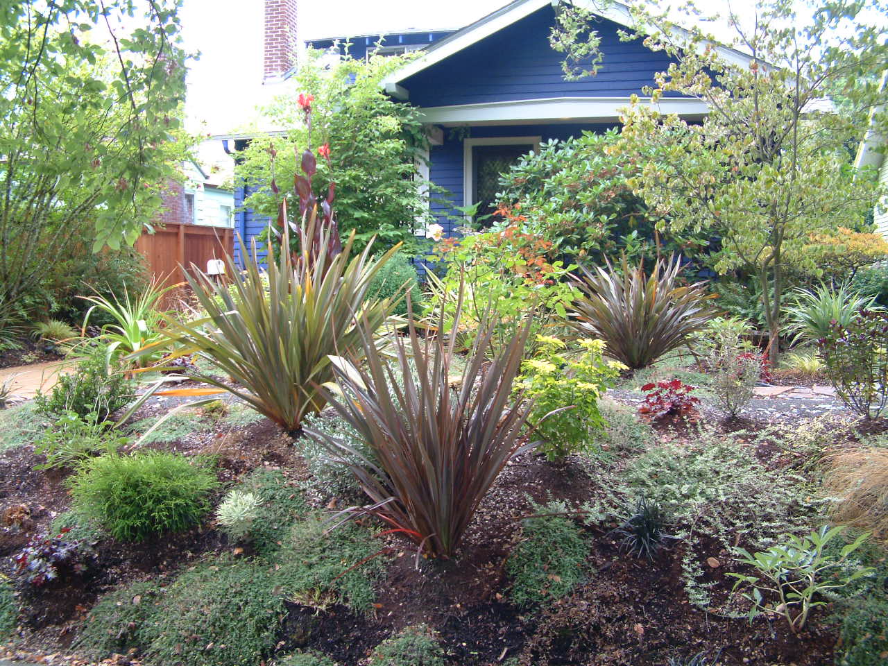 Before & After Gallery 6