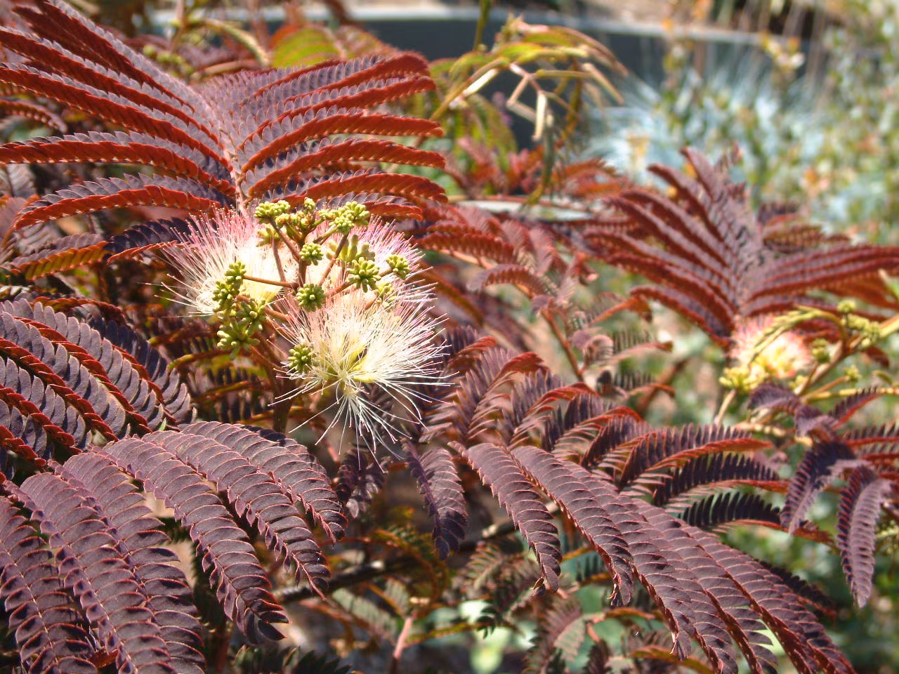 Garden design detail